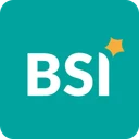 BSI
